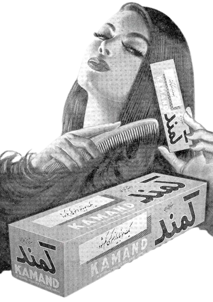 Kamand Logo